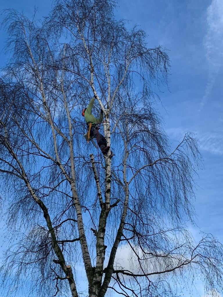 Vellen van bomen, Tuin en Terras, Ophalen