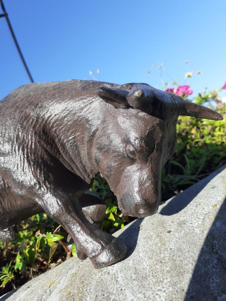 Gepatineerde gietijzeren stier, Ophalen of Verzenden, Nieuw, Hout, Brocante