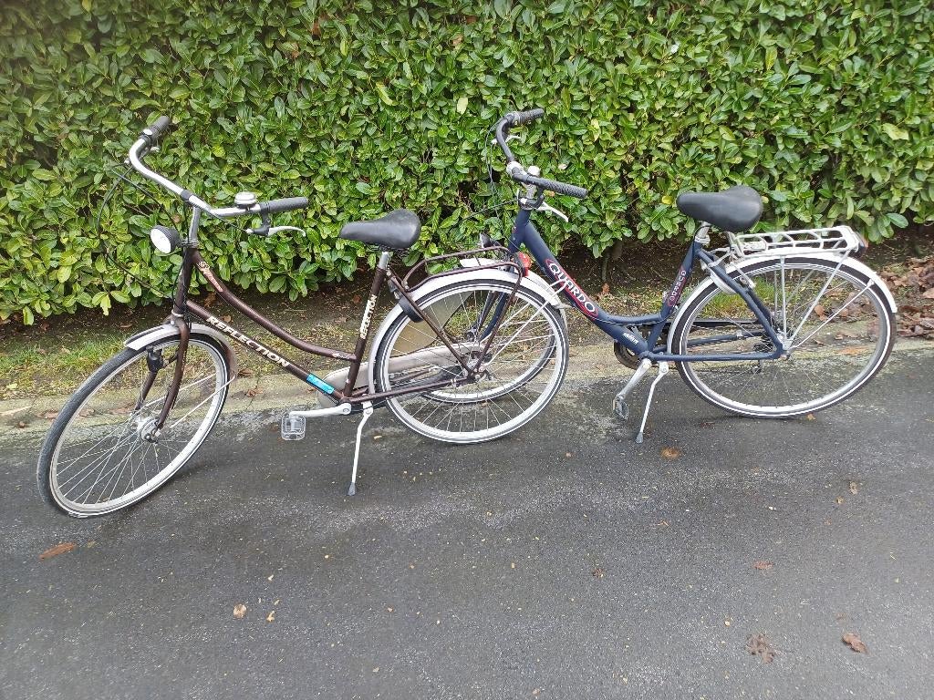 Dames fiets, Vélos & Vélomoteurs, Accès (extra) bas, Autres marques, Moins de 47 cm, Enlèvement