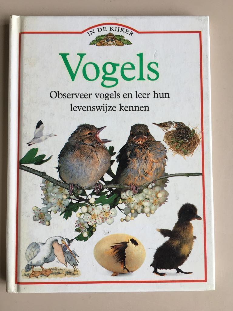 Vogels. In de kijker. Observeer vogels ..., Boeken, Ophalen of Verzenden, Nieuw, Vogels