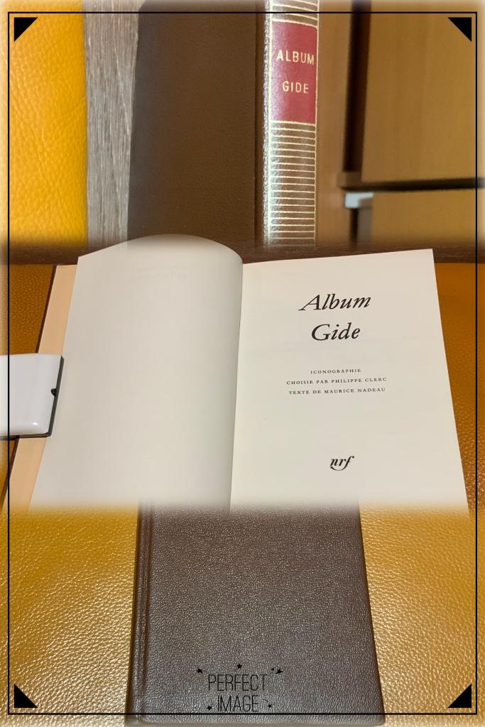 Album Gide - Bibliothèque de la Pléiade 1985, Livres, Littérature, Utilisé, Enlèvement ou Envoi