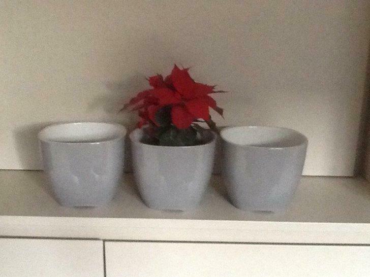3 grijze bloempotten, Ophalen of Verzenden, Gebruikt