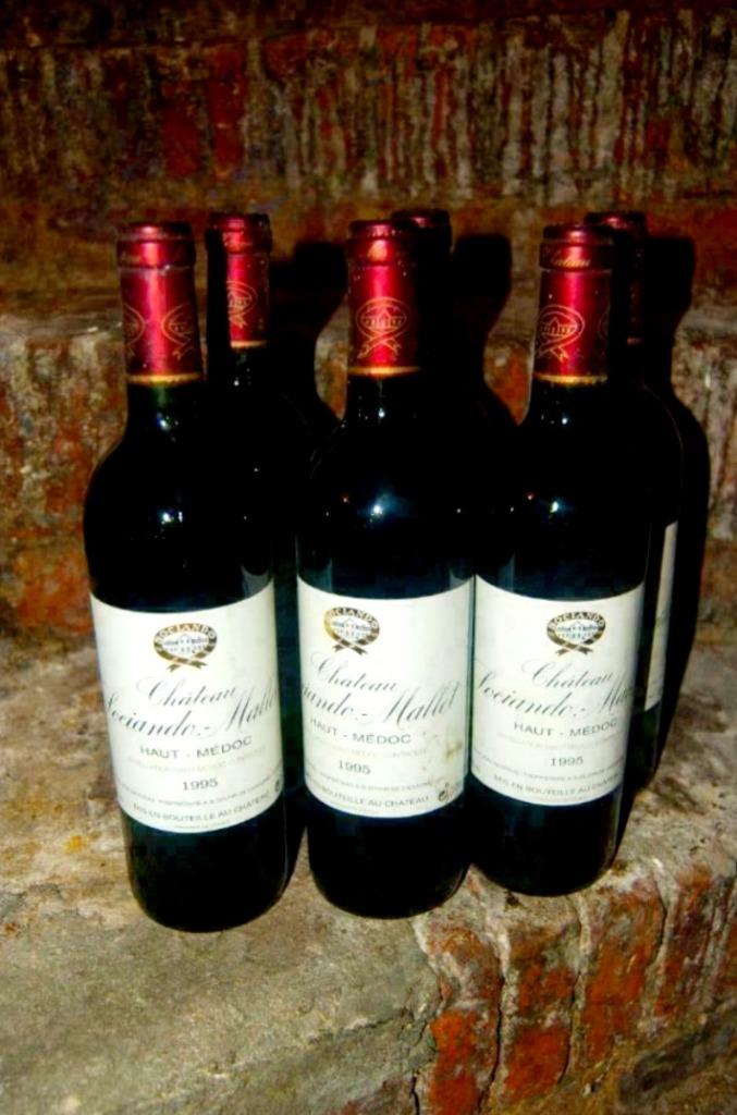 Sociando Mallet 1995  6 bouteilles, Enlèvement ou Envoi