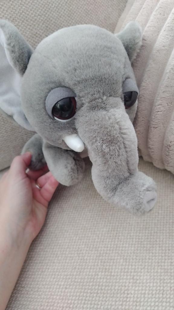 knuffel BIG HEADZ olifant, Ophalen, Gebruikt, Olifant