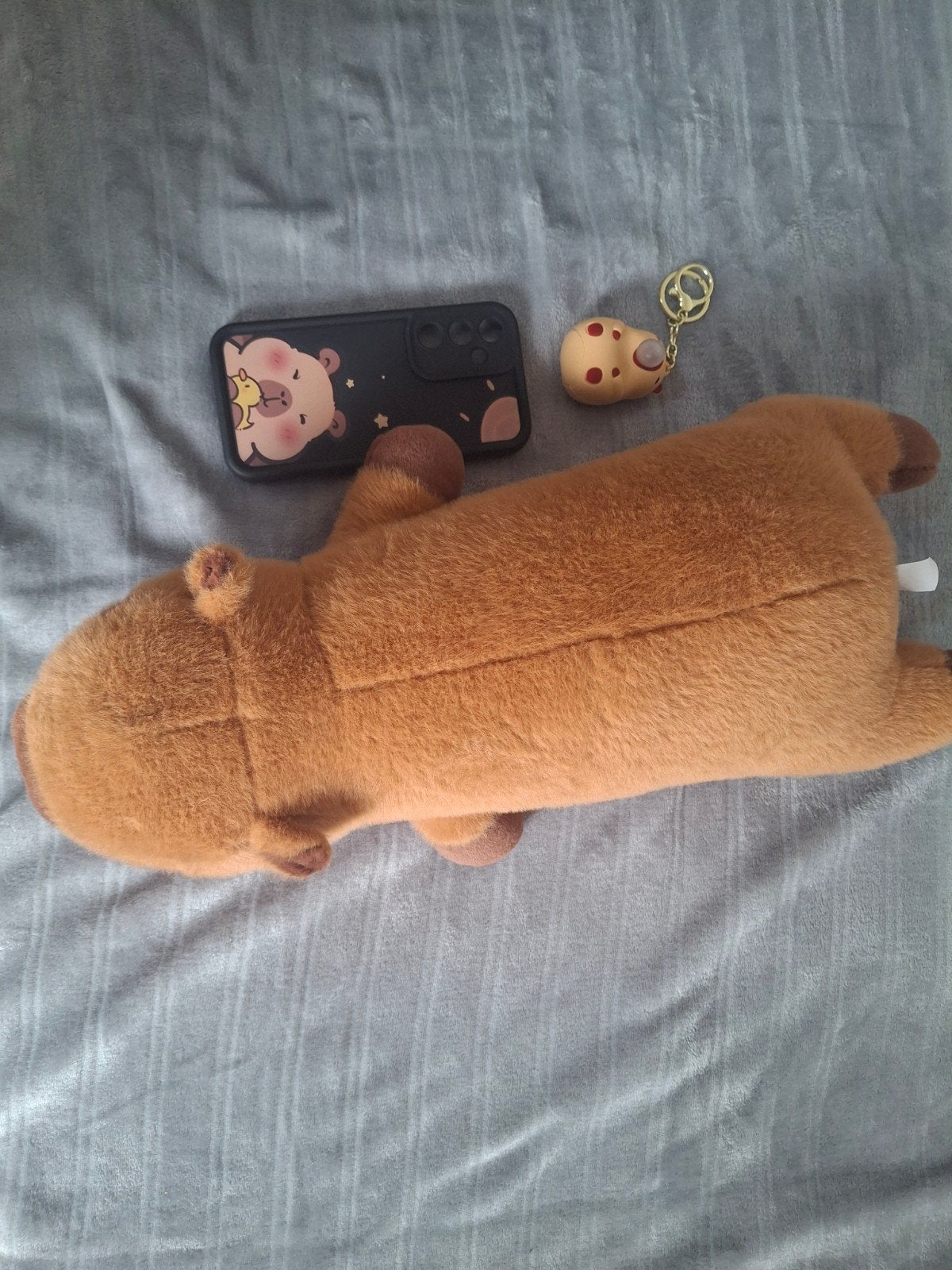 Capybara vetzameling, Ophalen, Nieuw, Overige typen
