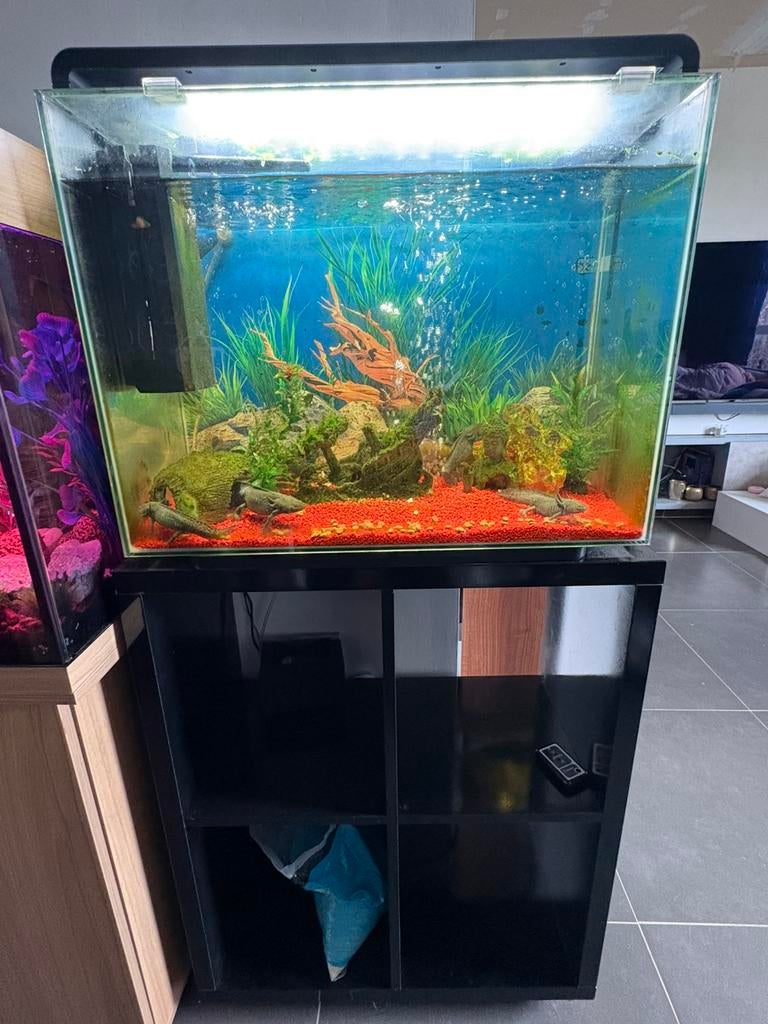 aquarium. aquafish 60l, Enlèvement, Comme neuf