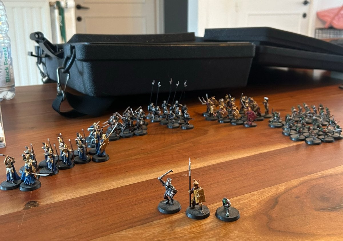 LOTR Miniaturen Lot – Infanterie + Opbergkoffer, Ophalen, Gebruikt, Fantasy
