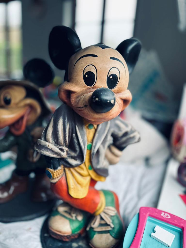 Images de Mickey Mouse, Enlèvement, Mickey Mouse