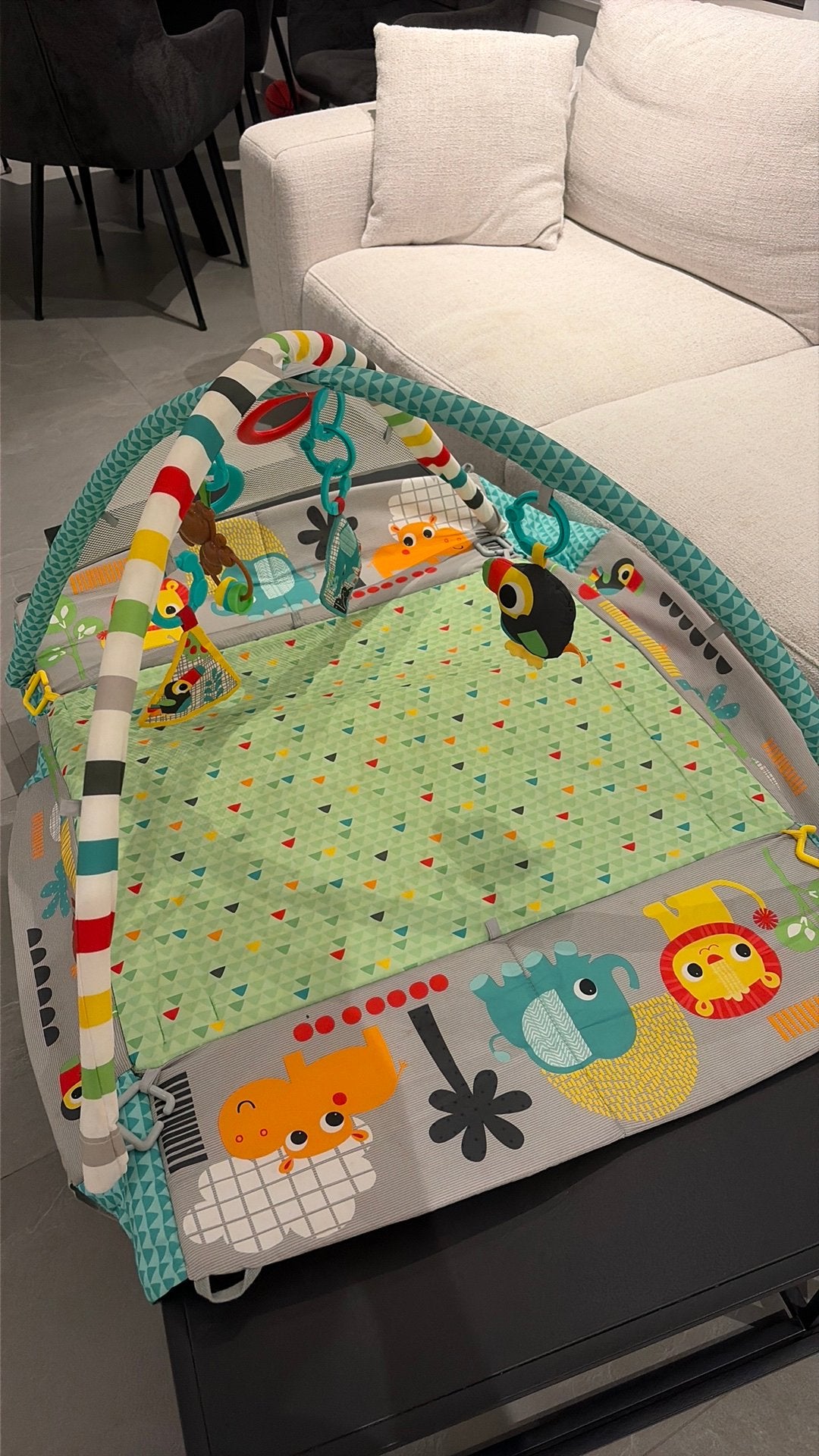 Tapis d’éveil, Enlèvement, Comme neuf