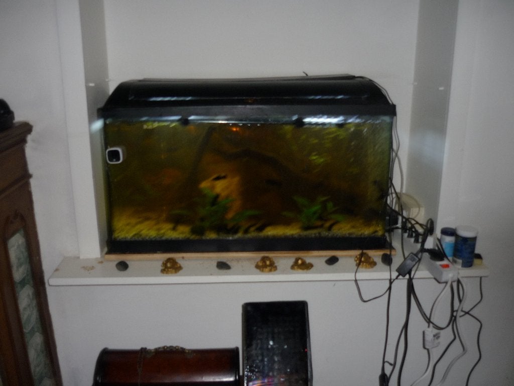aquarium 80 x40x30, Dieren en Toebehoren, Ophalen, Gebruikt, Leeg aquarium