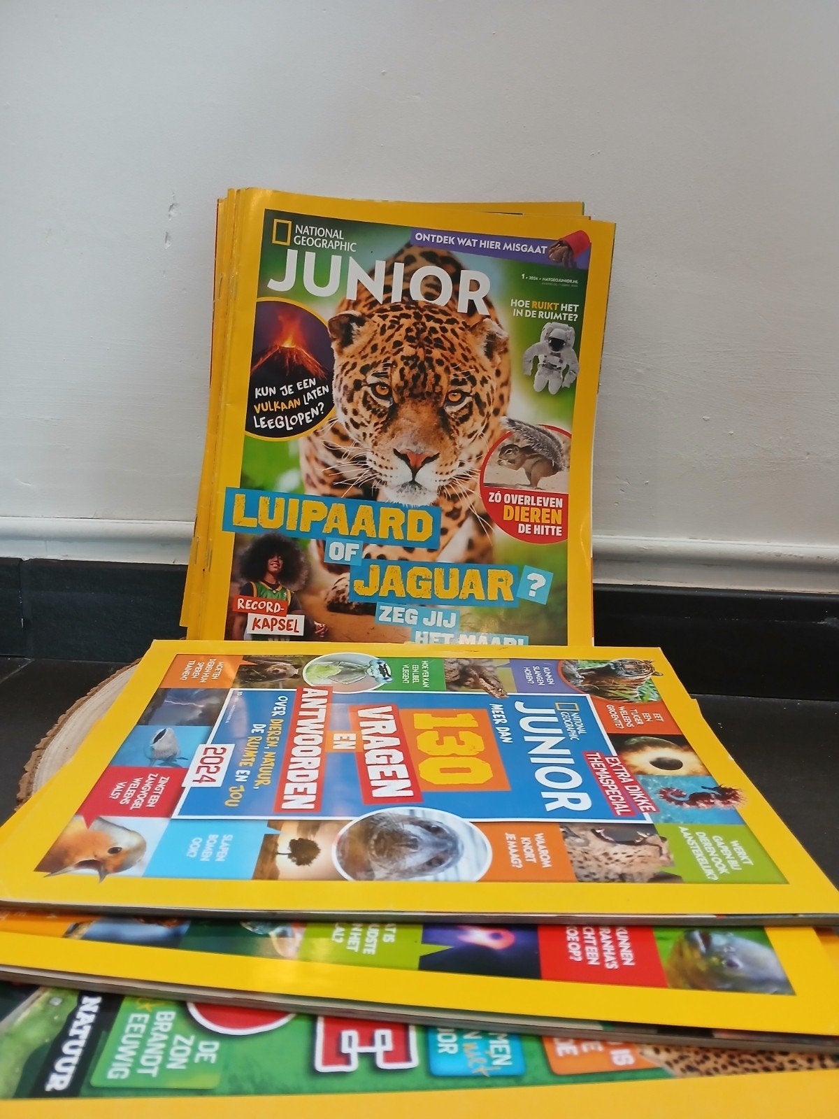 23 éditions junior du National Geographic + 3 éditions spéci, Livres, Journaux & Revues, Enlèvement, Neuf, Science et Nature