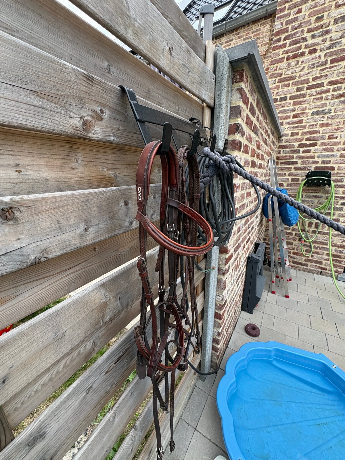 CWD hoofdstel  compleet, Dieren en Toebehoren, Ophalen, Springen, Bruin, Overige merken