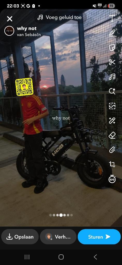 V20 pro mini fatbike, Fietsen en Brommers, Ophalen, Gebruikt, 50 km per accu of meer, Overige merken