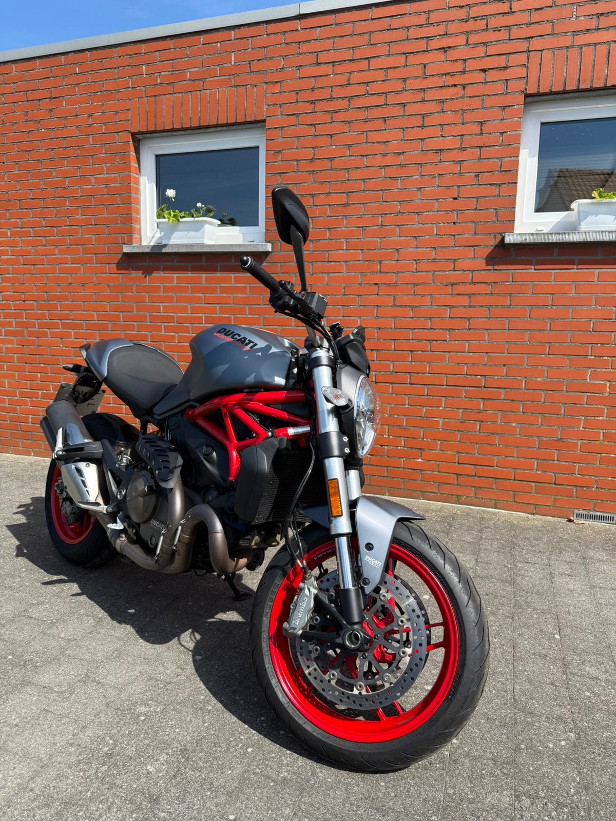 Ducati Monster 821 Dust Grey, Motoren, Motoren | Ducati, Particulier, Naked bike, meer dan 35 kW, 2 cilinders, Handgeschakeld