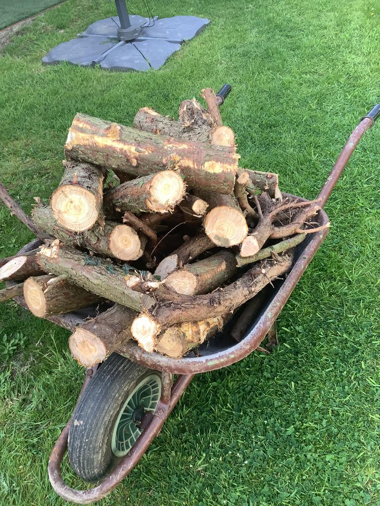 Gratis sparrenhout, Tuin en Terras, Ophalen, Stammen