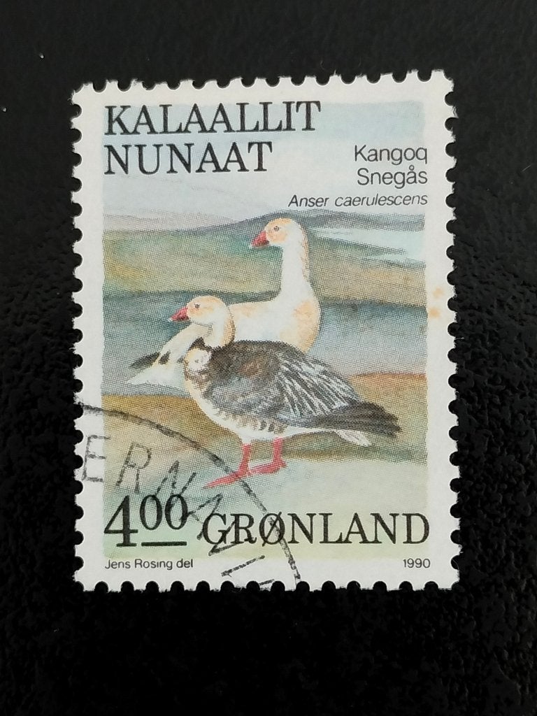 Groenland 1990 - vogels, Verzenden, Denemarken, Gestempeld