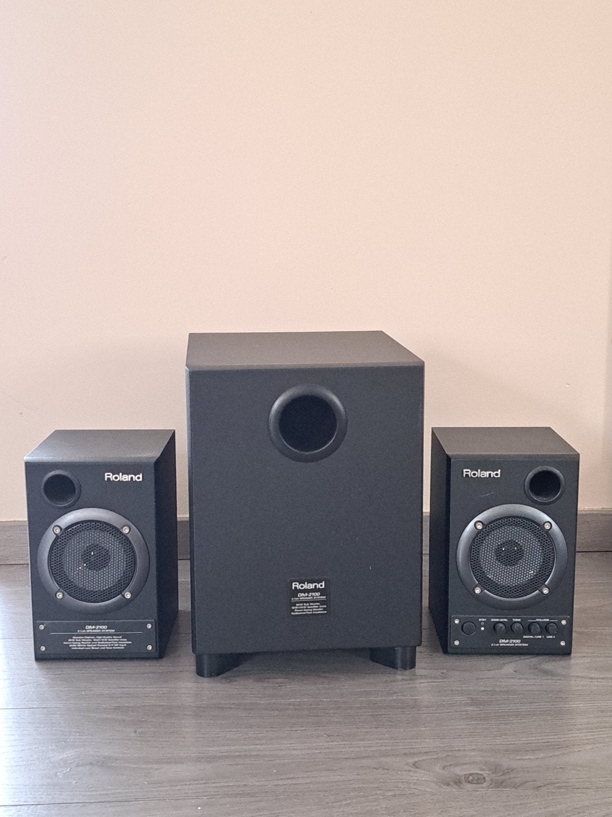 Roland DM-2100 speaker systeem, Ophalen, Gebruikt, Overige typen, Overige merken