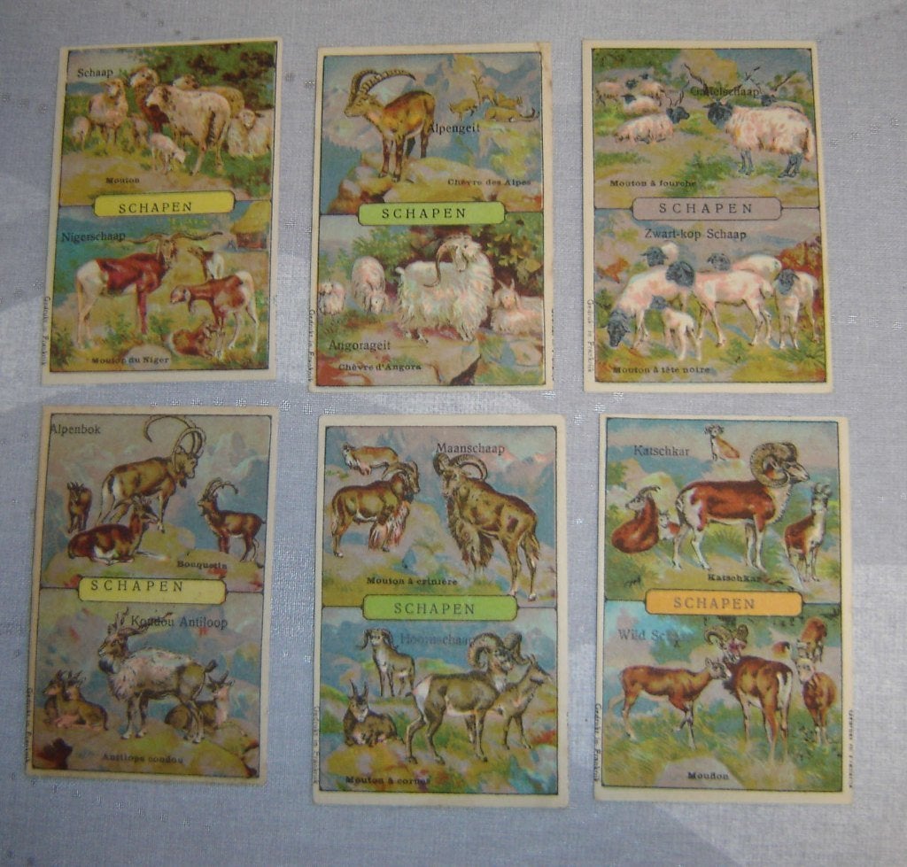 Série de bandes chromées SHEEP, Avant 1940, Gravure, Utilisé, Autres sujets/thèmes