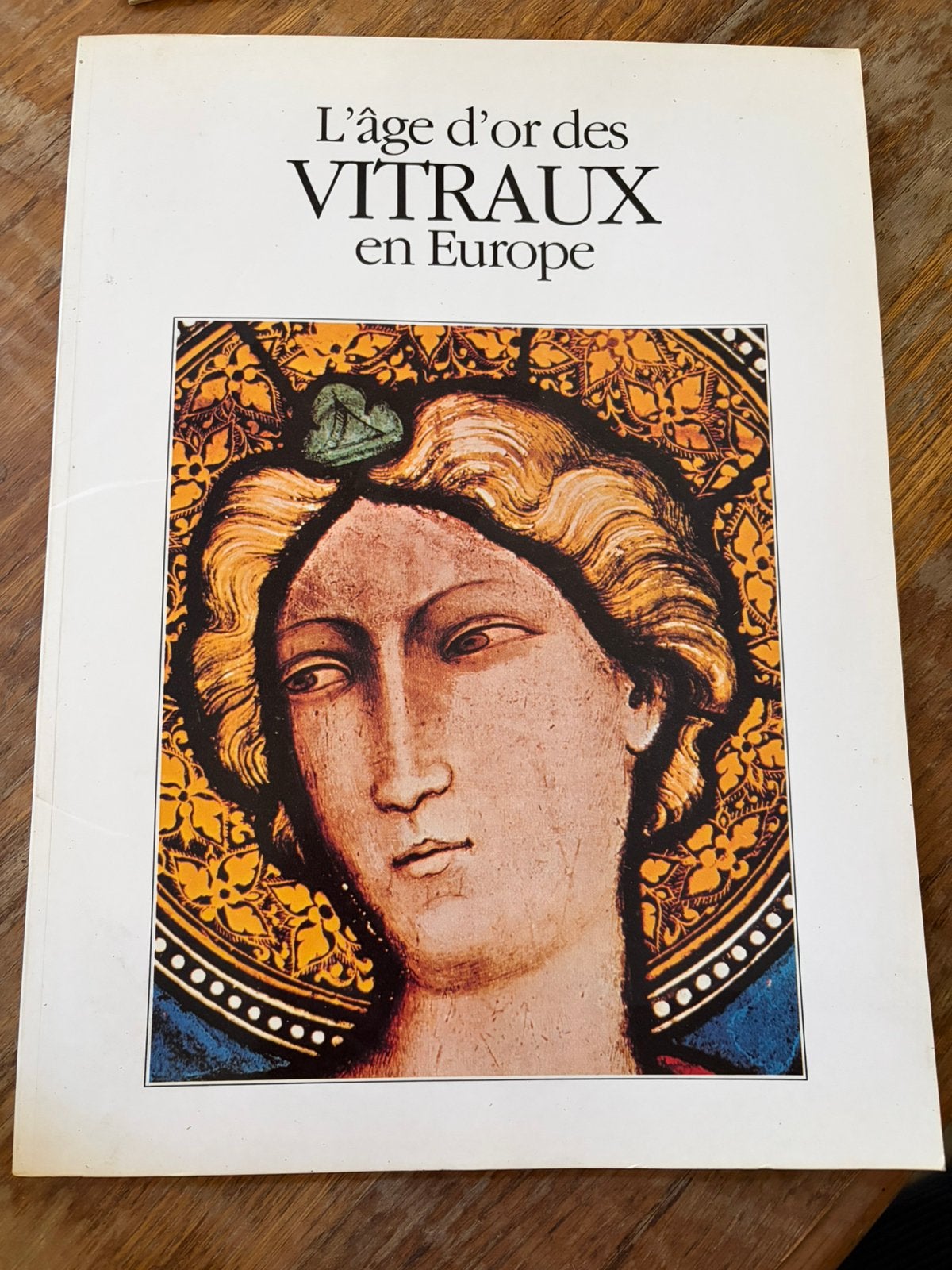 Kunstboek: L'âge d'or des Vitraux en Europe –Eva Fitz (1991), Ophalen of Verzenden, Zo goed als nieuw