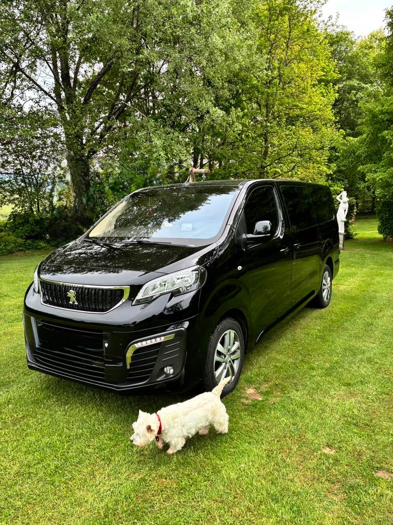 Peugeot Expert Utilitaire, 6 portes, Euro 6, 3 places, Diesel
