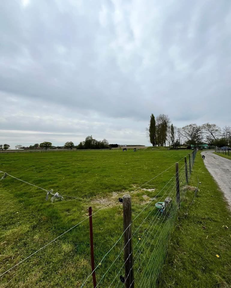 Stalling, Dieren en Toebehoren, Stalling en Weidegang, Stalling