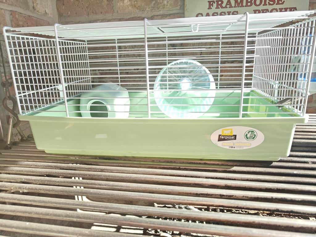 Hamster kooi, Dieren en Toebehoren, Ophalen, Kooi, Hamster