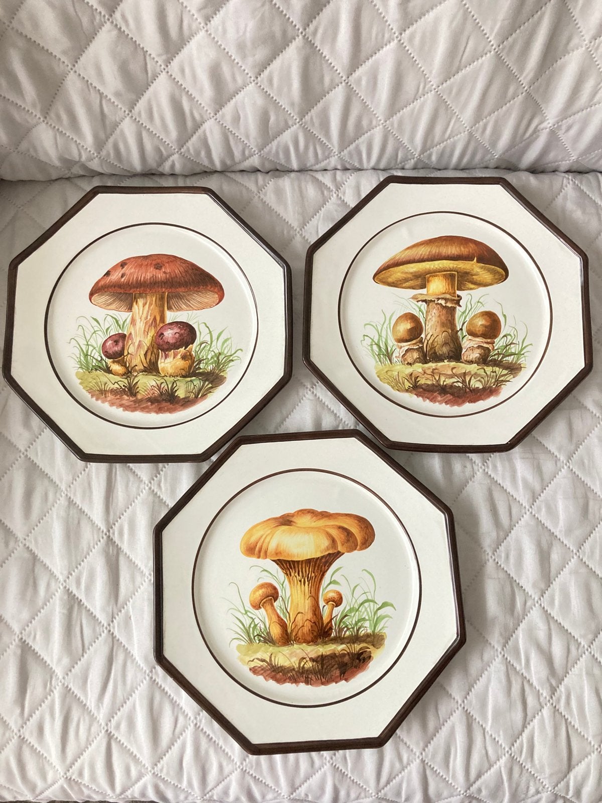 3 magnifiques assiettes Champignons  vintage, années 1950,, Enlèvement ou Envoi