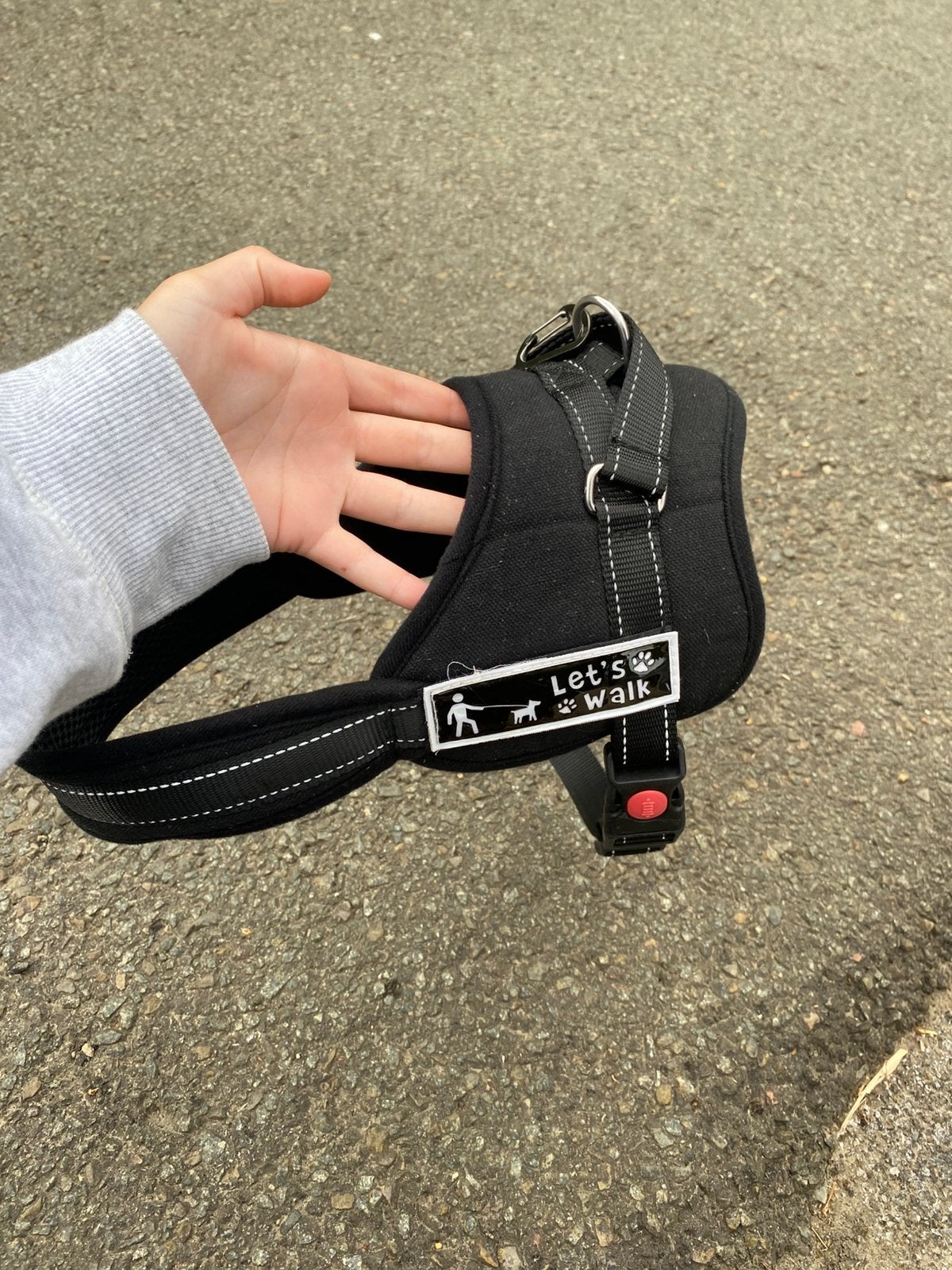Halster hond, Animaux & Accessoires, Laisses pour chiens, Enlèvement, Comme neuf