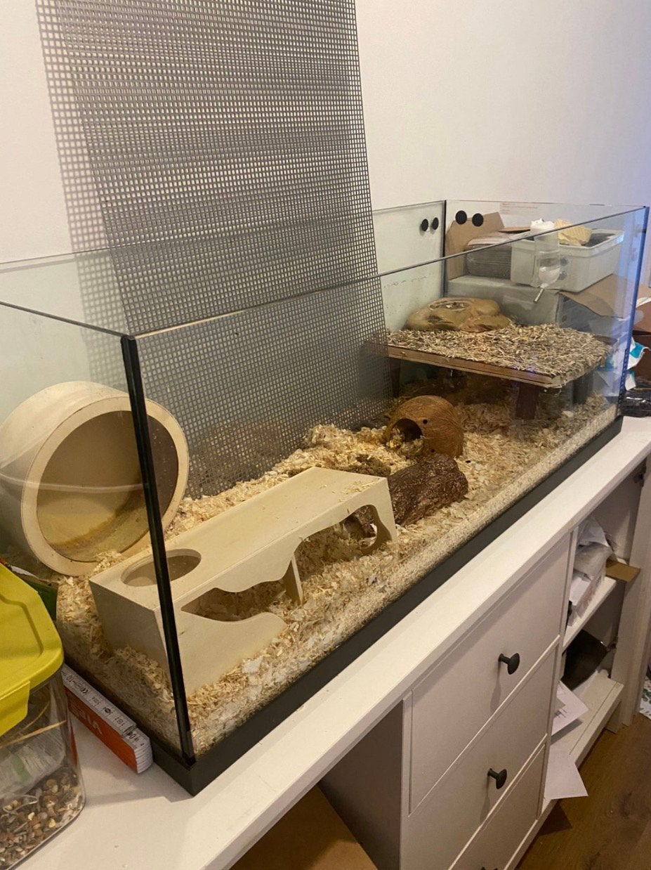 Grote hamsterkooi + lieve Syrische hamster – €50, Dieren en Toebehoren, Ophalen of Verzenden, Zo goed als nieuw