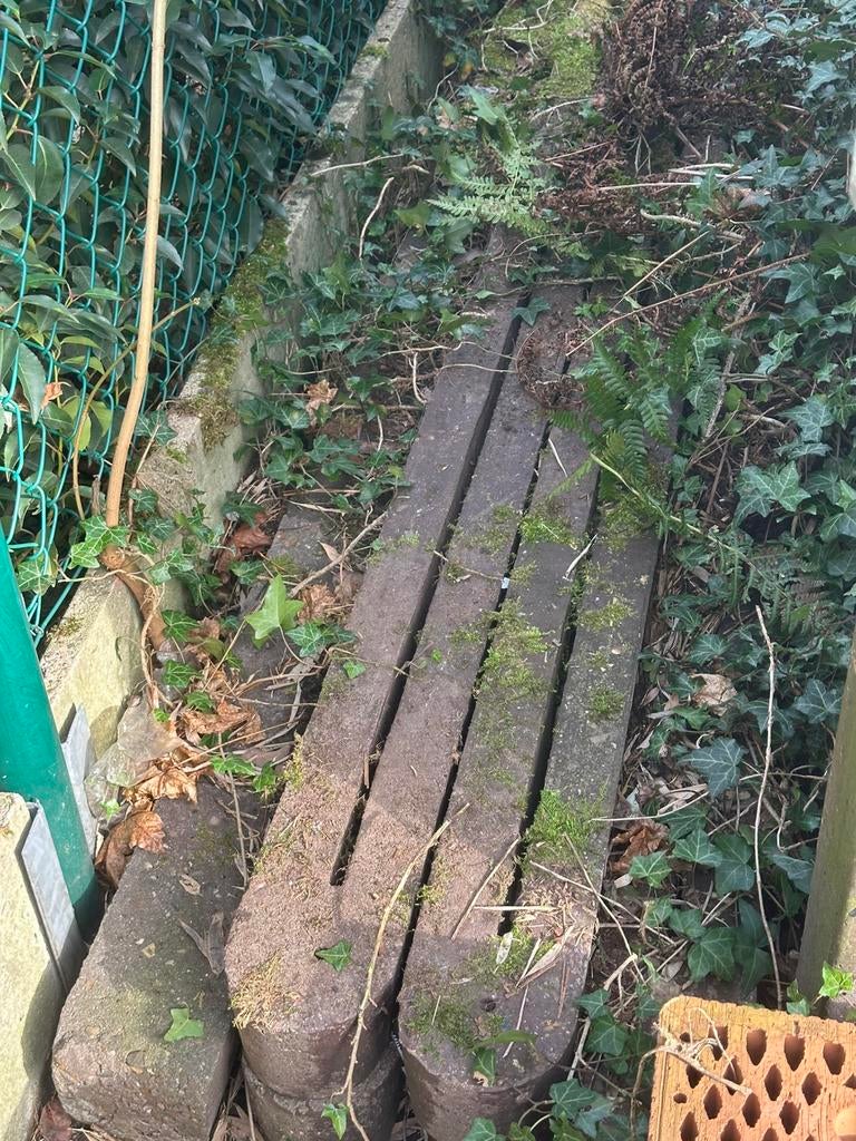 Betonnen palen en platen om draad tussen te zetten, Enlèvement, Utilisé, 250 cm ou plus, Poteaux