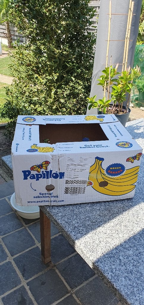 banaandozen, Ophalen, Nieuw