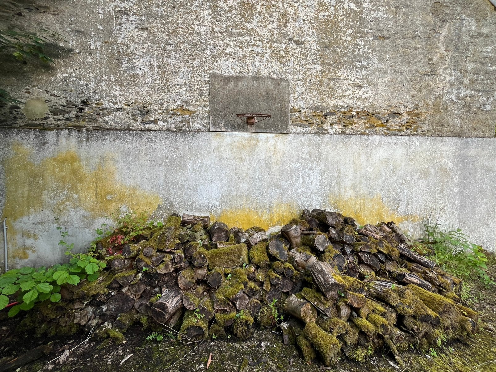 Bois de chauffage, Enlèvement