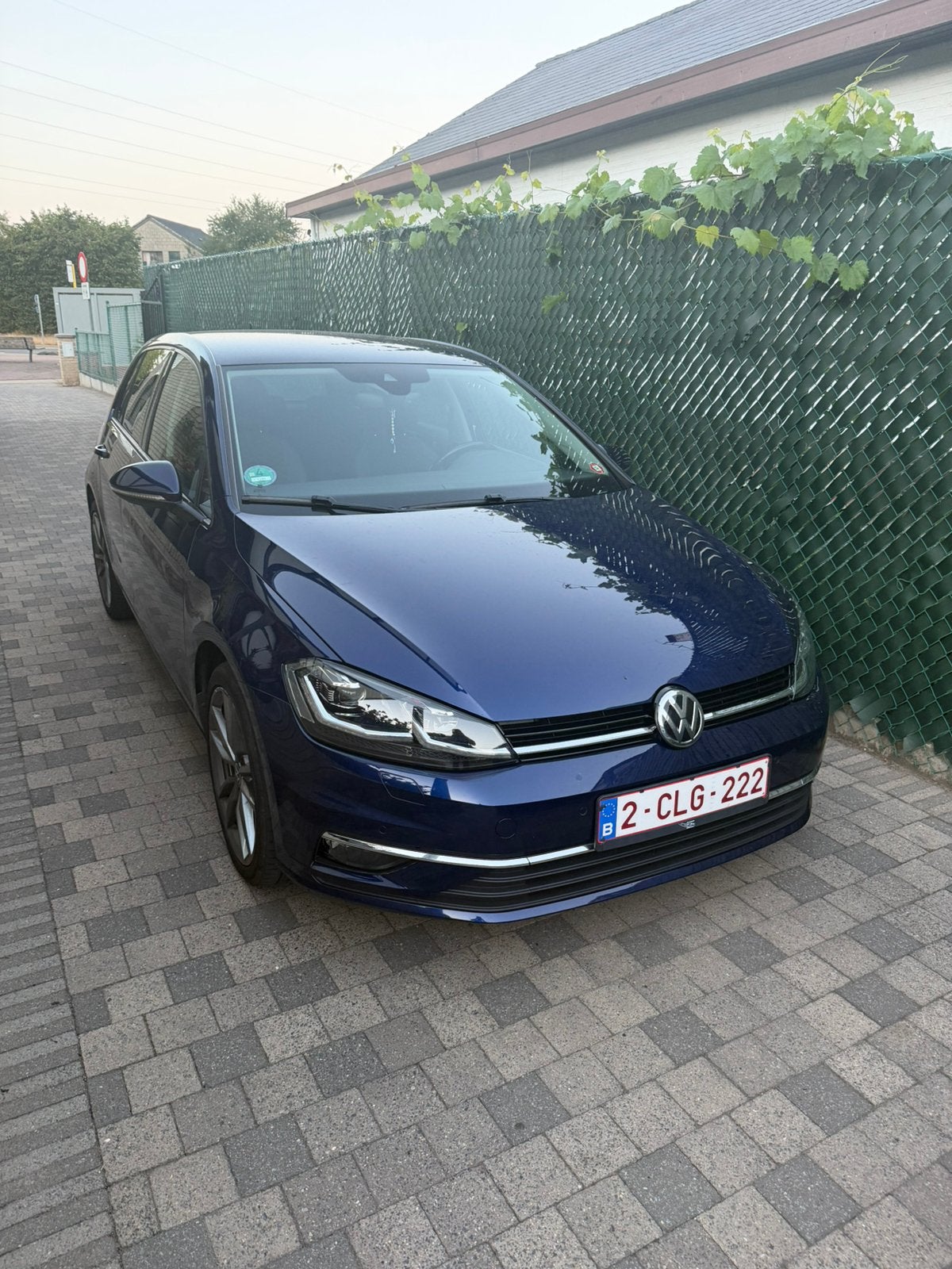 Golf 7,5 2019 1.0 tsi 116 pk, Auto's, 4 deurs, Euro 6, Blauw, Bedrijf
