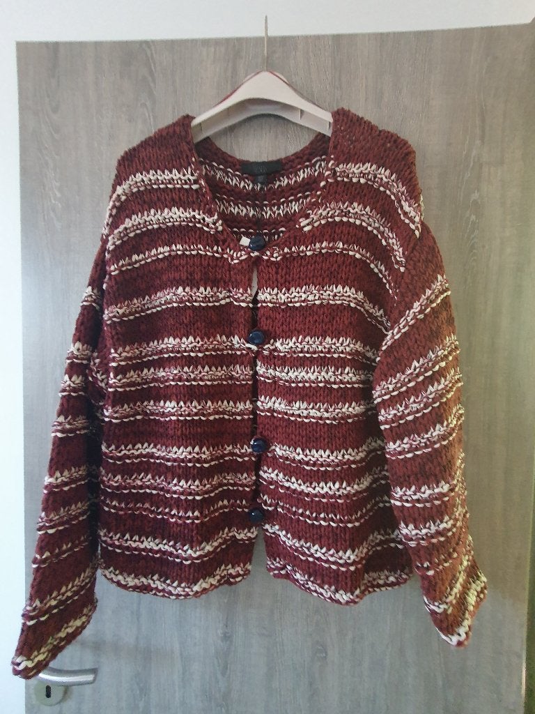 Nouveau cardigan Zara grand, Enlèvement ou Envoi, Zara., Brun, Taille 42/44 (L)