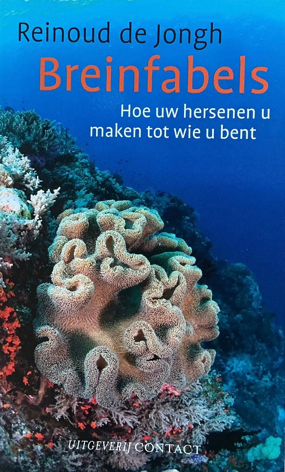 Reinoud de Jongh - Breinfabels, Boeken, Ophalen of Verzenden, Reinoud de Jongh