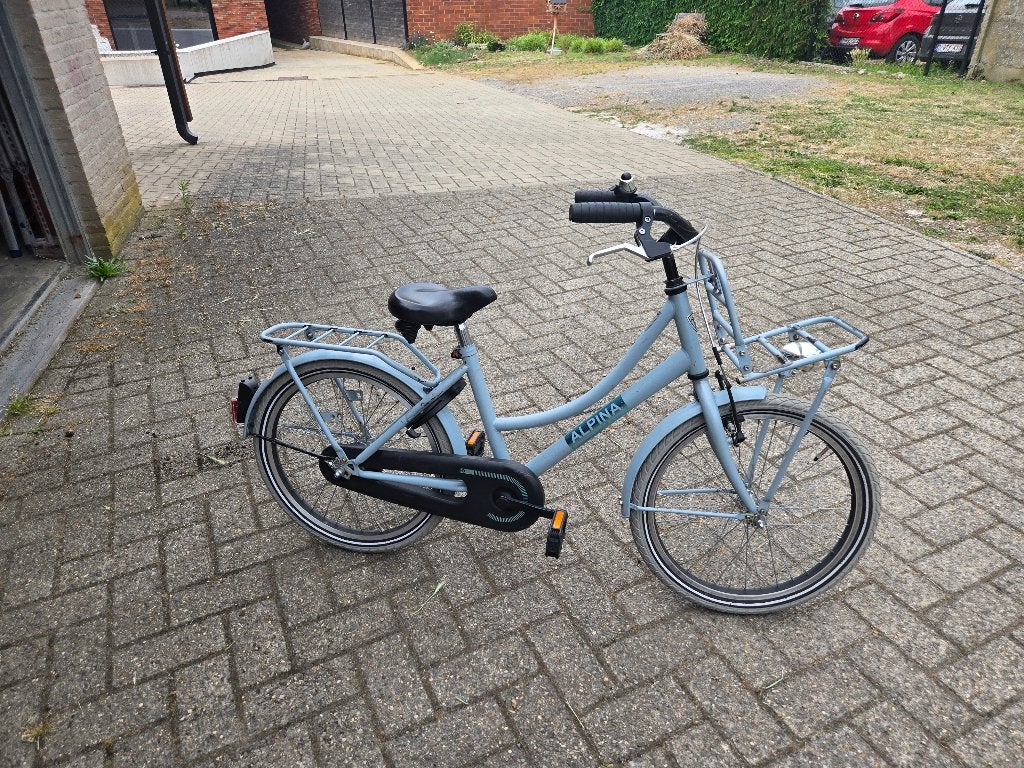 Kindefiets alpina cargo 20 inch, Ophalen, Nieuw, Terugtraprem, 20 inch of meer