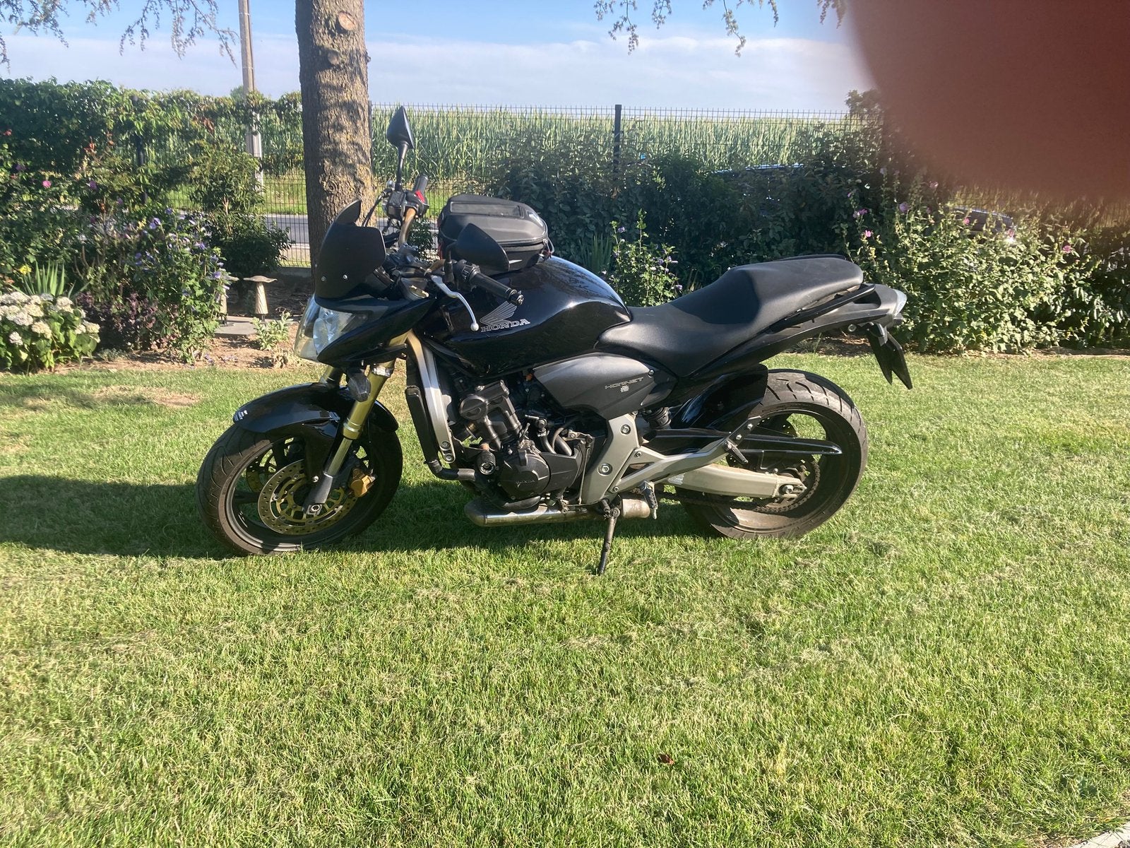 Moto Honda Hornet 600, Motos, Motos | Honda, Occasion, Plus de 35 kW, Permis Moto A1 minimum, Particulier