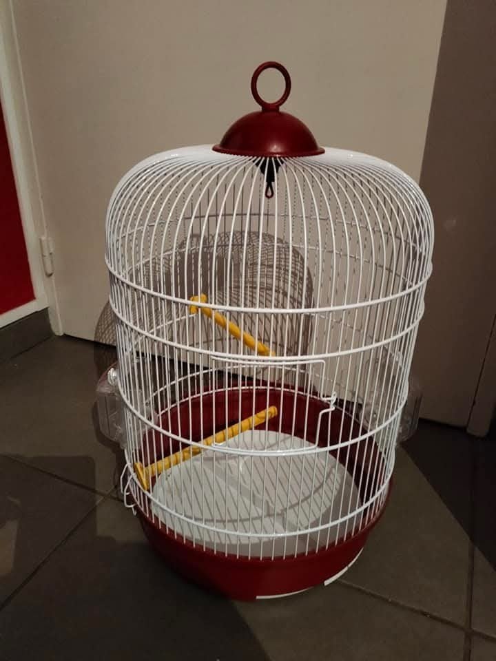 vogelkooi, Ophalen of Verzenden, Nieuw, Metaal, Vogelkooi