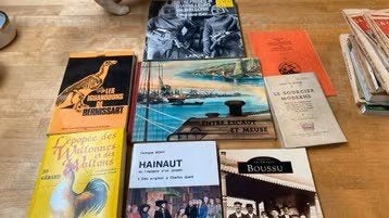 Ancien livres sur le Borinage, Livres, Enlèvement ou Envoi