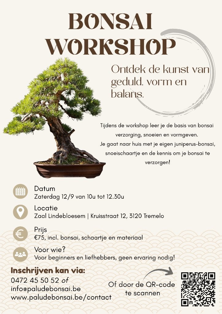 Bonsai workshop, Bloeit niet, Overige soorten, Minder dan 100 cm, Ophalen