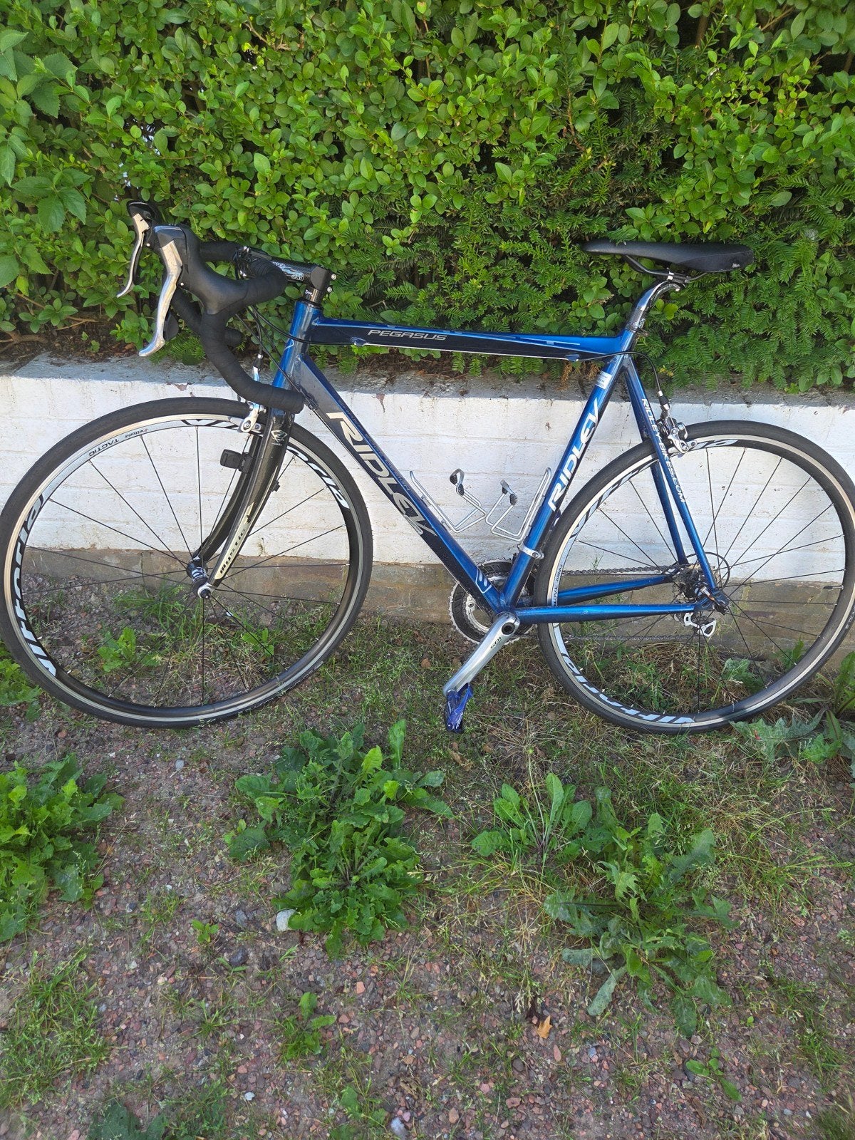 Ridley Pegasus taille 54, Vélos & Vélomoteurs, Aluminium, Enlèvement, Hommes, 53 à 57 cm