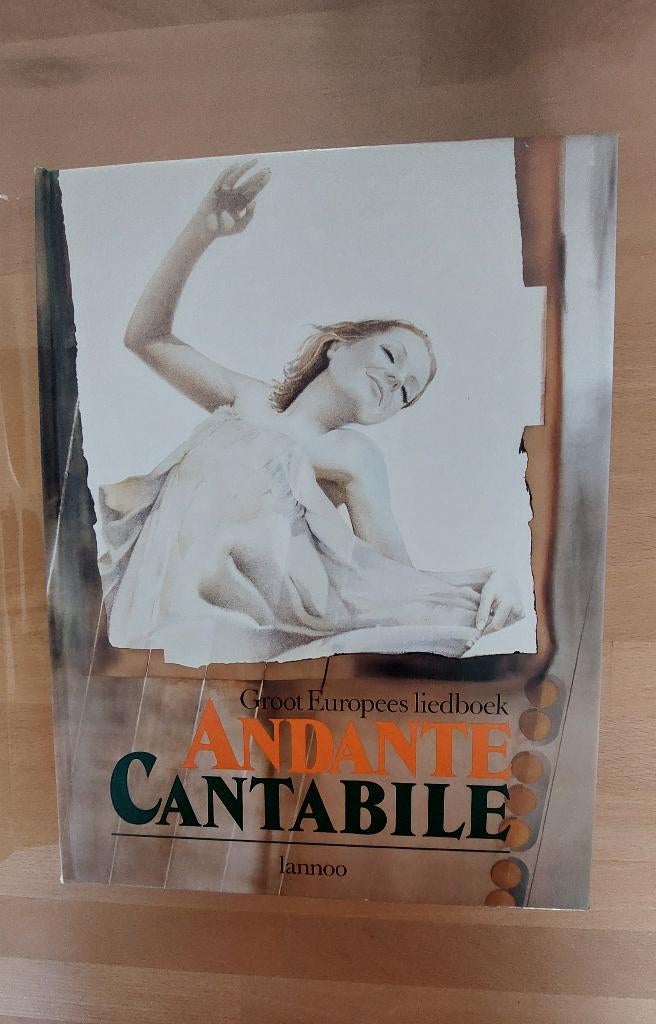 Andante Cantabile - Groot Europees liedboek, Ophalen of Verzenden, Zo goed als nieuw, Diverse auteurs