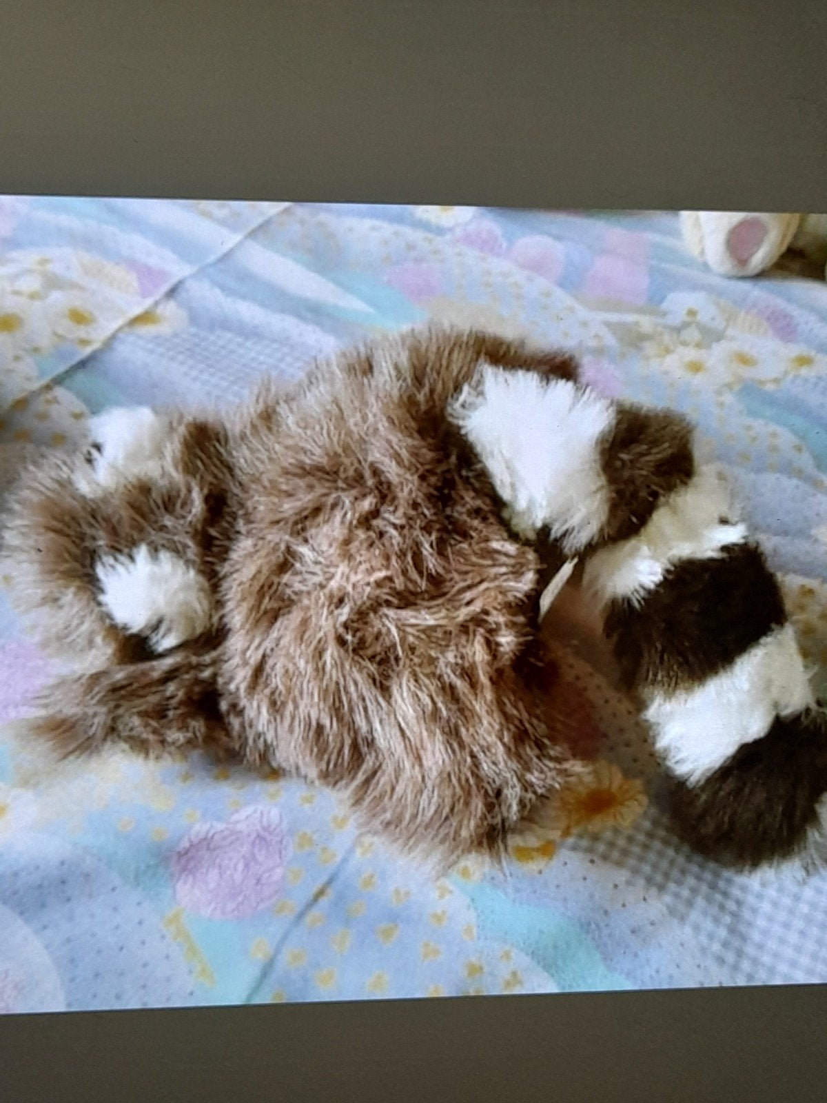 Originale peluche Raton laveur (?) avec longue queue, Brun, Comme neuf, Moyen (20 à 80 cm), Autres types