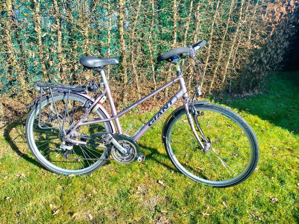 Fiets Giant Expedition, Fietsen en Brommers, Fietsen | Dames | Damesfietsen, Ophalen, Versnellingen, Giant, 53 tot 56 cm