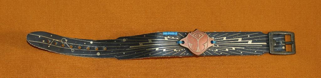 Tomorrowland 2022 bracelet, Collections, Enlèvement ou Envoi, Comme neuf