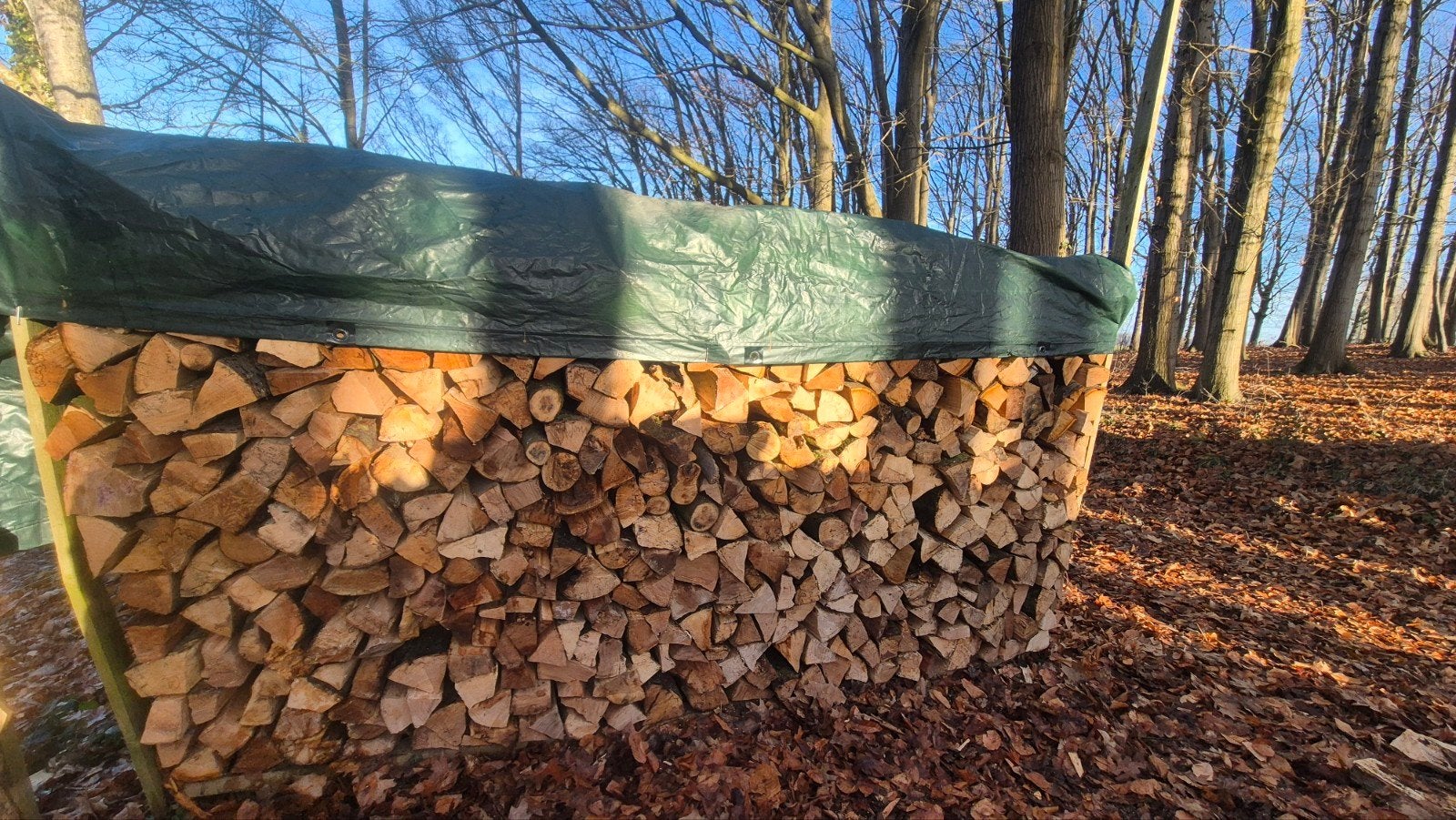 brandhout (Beuk), Ophalen, Beukenhout, Blokken