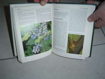 12 délige bloemen en planten encyclopedie, Boeken, Ophalen, Zo goed als nieuw, Bloemen en Planten, Complete serie