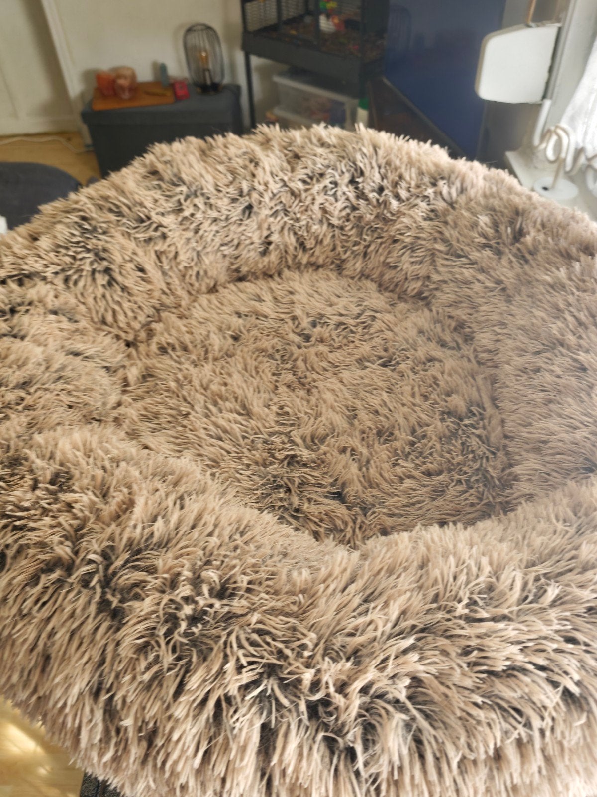 2 zgan honden manden donuts xl, Dieren en Toebehoren, Ophalen of Verzenden, Zo goed als nieuw, Pluche
