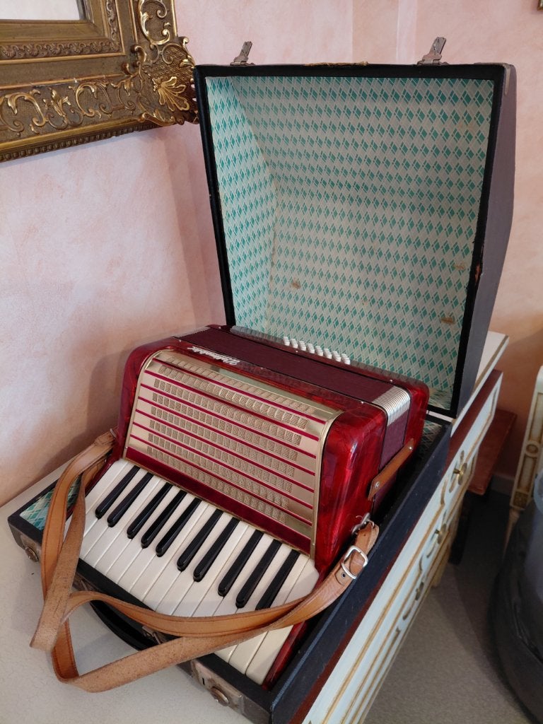 Accordéon Weltmeister, Musique & Instruments, Accordéons, Comme neuf, Accordéon à touches, 32 basses, Weltmeister, Avec valise
