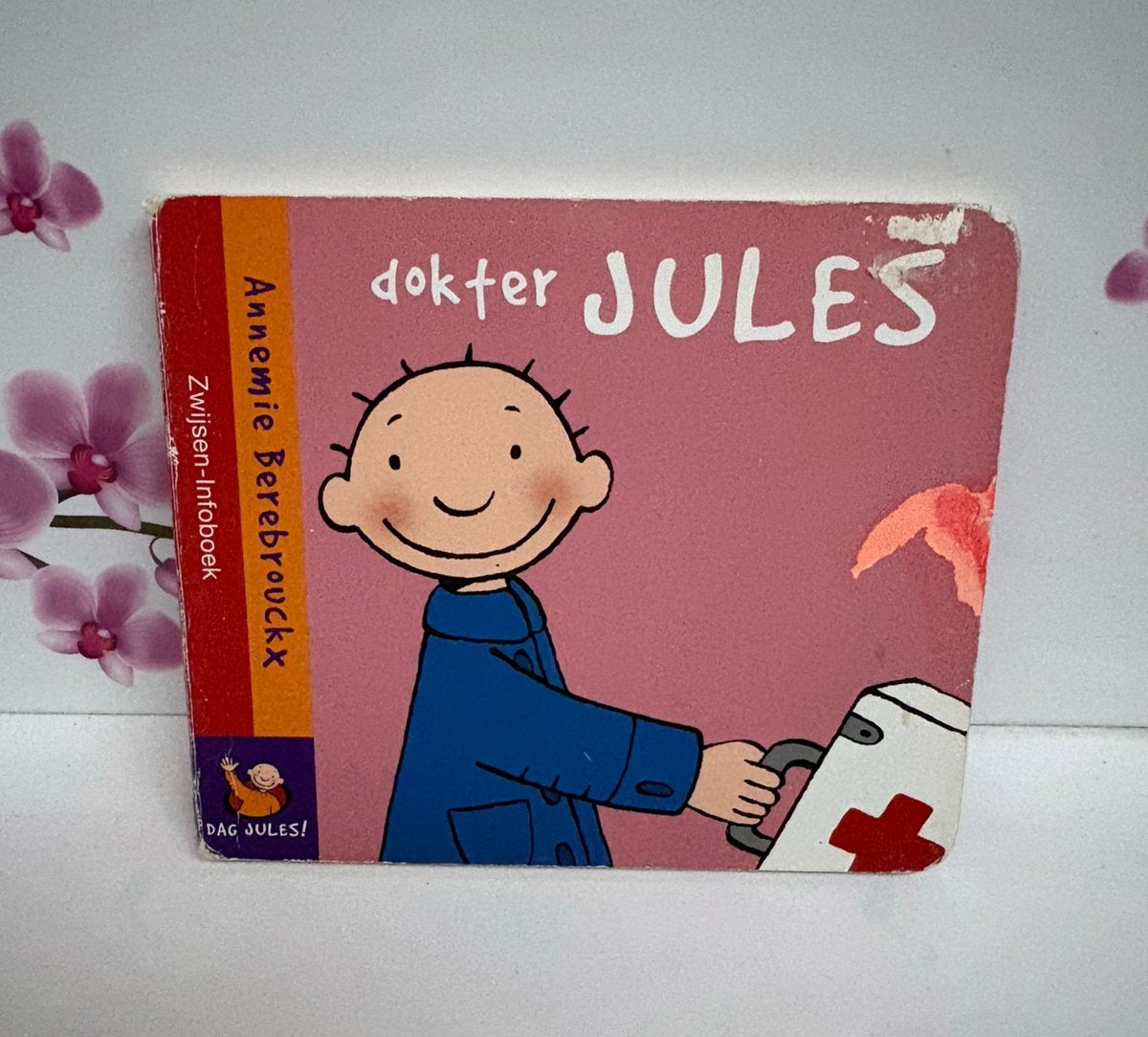 🧡 Boek: Dokter Jules, Ophalen of Verzenden, Annemie Berebrouckx
